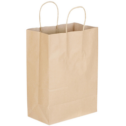 Paper Bag w/ Twisted Handle (Malibu Kraft) 12.2