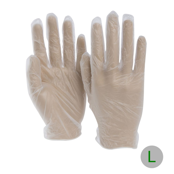 Vinyl Glove Powder Free Large, 10x100 CT