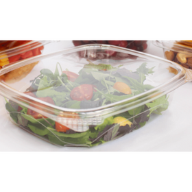 HC-24 Clear Hinged Container, 200/CS