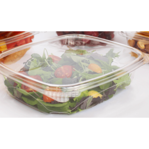 24 oz. Plastic Hinged Food Container